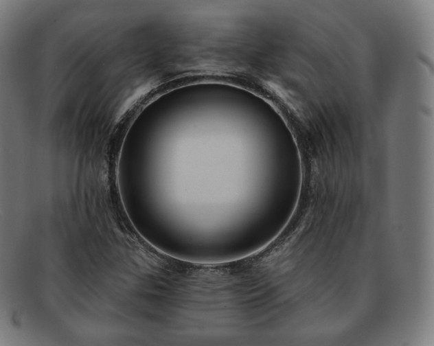 X0000091891307200709121432