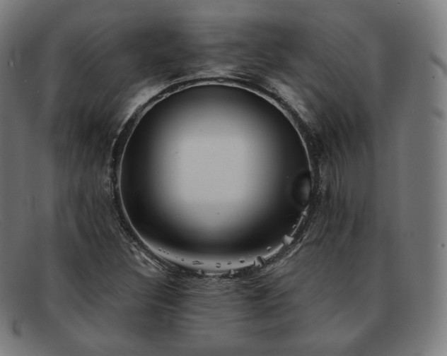 X0000091891308200709121432
