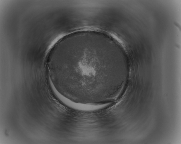 X0000091891310200709121432