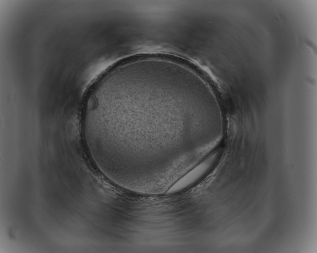 X0000091891311200709121432