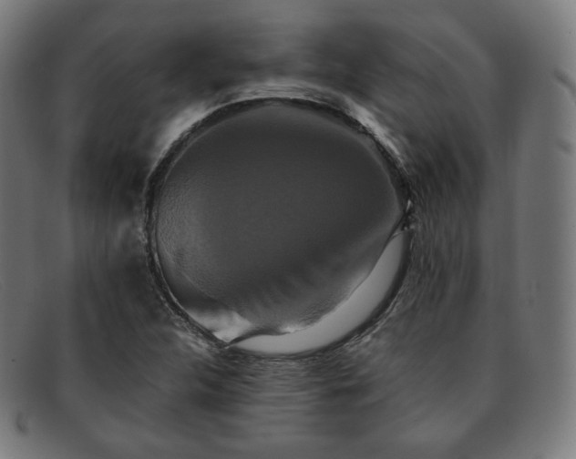 X0000091891312200709121432
