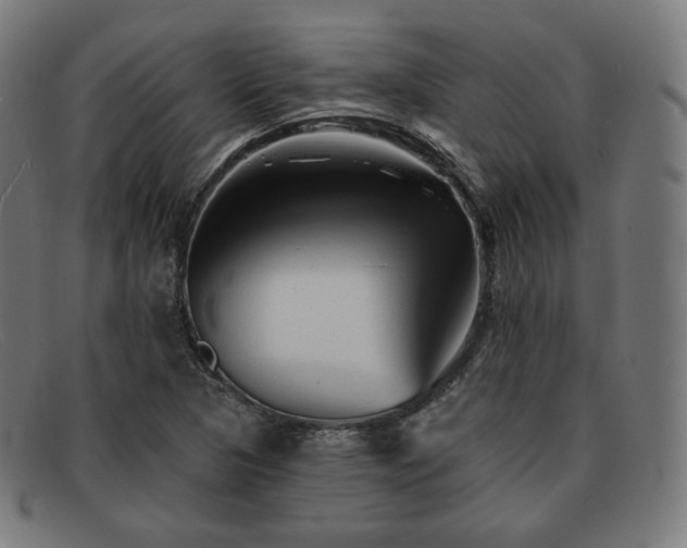 X0000091891313200709121432