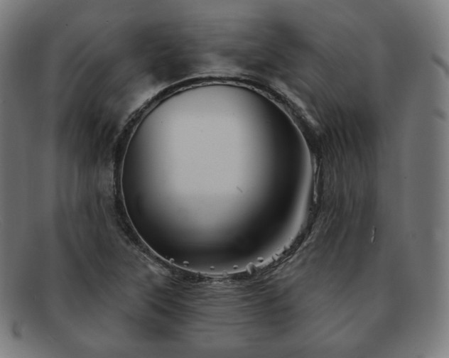 X0000091891315200709121432
