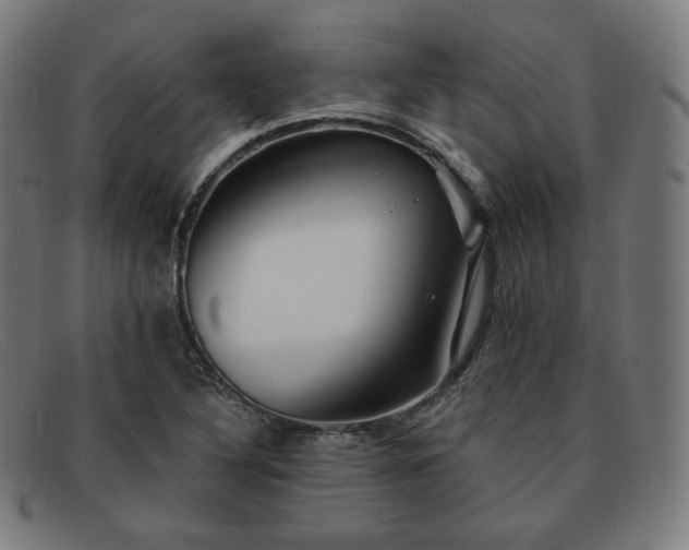 X0000091891316200709121432