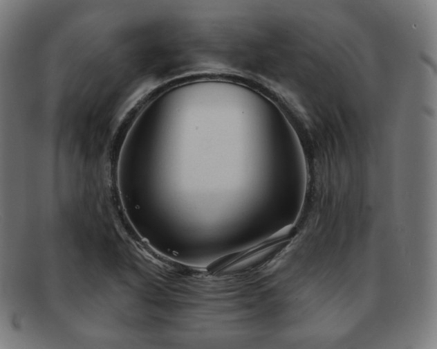 X0000091891318200709121432