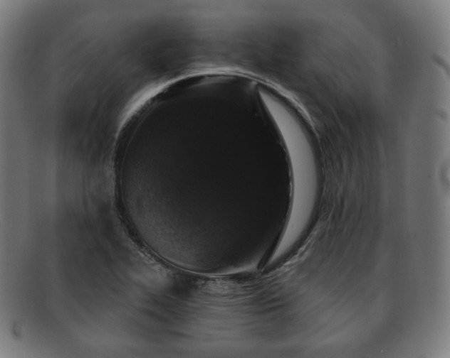 X0000091891319200709121432