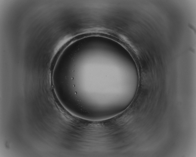 X0000091891320200709121432