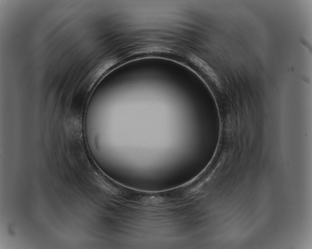 X0000091891321200709121432