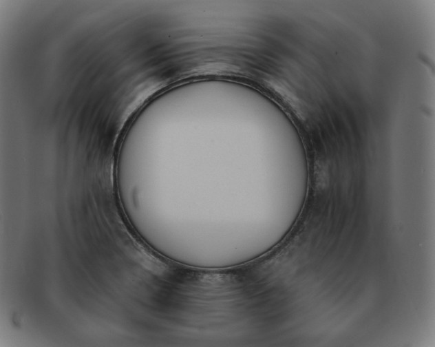 X0000091891322200709121432