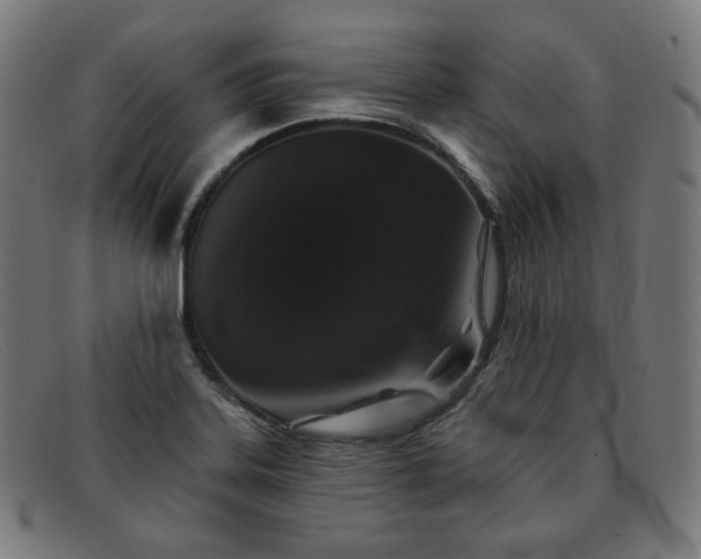 X0000091891323200709121432