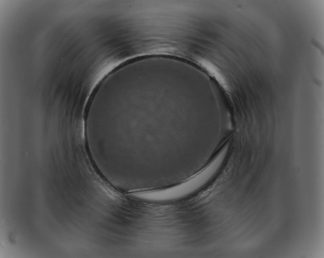 X0000091891324200709121432