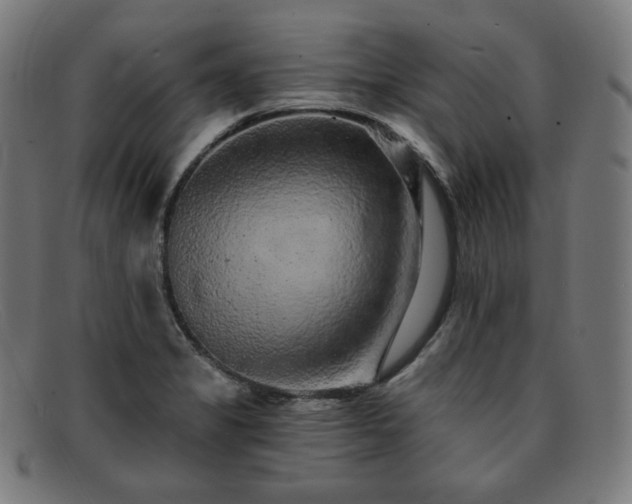X0000091891325200709121432