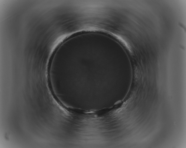 X0000091891327200709121432