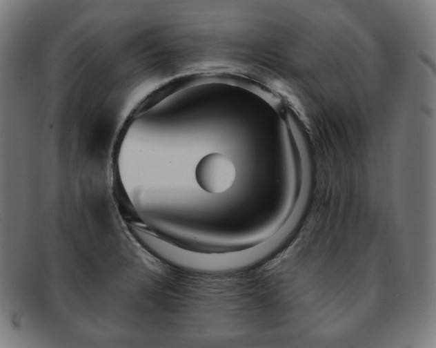 X0000091891328200709121432