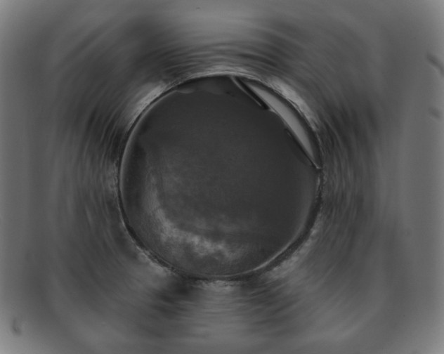 X0000091891329200709121432