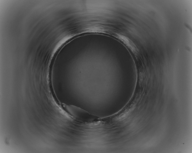 X0000091891331200709121432