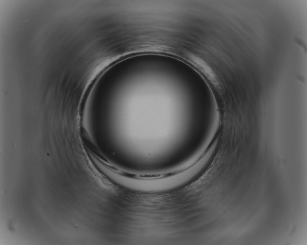 X0000091891332200709121432