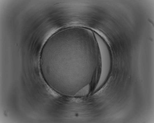 X0000091891333200709121432