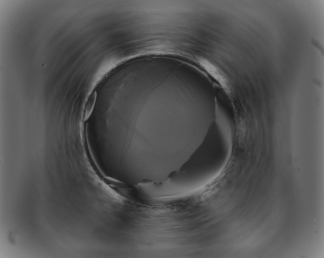 X0000091891334200709121432
