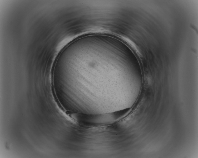 X0000091891335200709121432