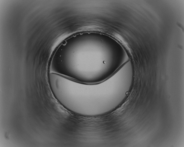X0000091891336200709121432