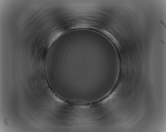 X0000091891337200709121432