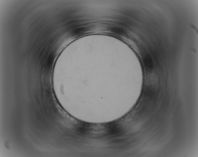 X0000091891338200709121432