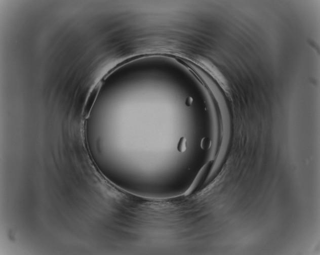 X0000091891340200709121432