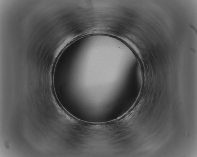 X0000091891341200709121432