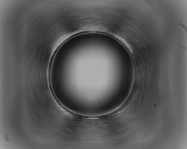 X0000091891343200709121432