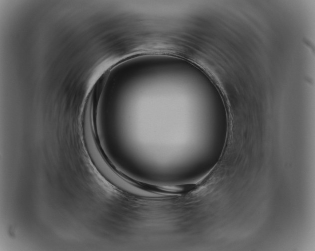 X0000091891344200709121432