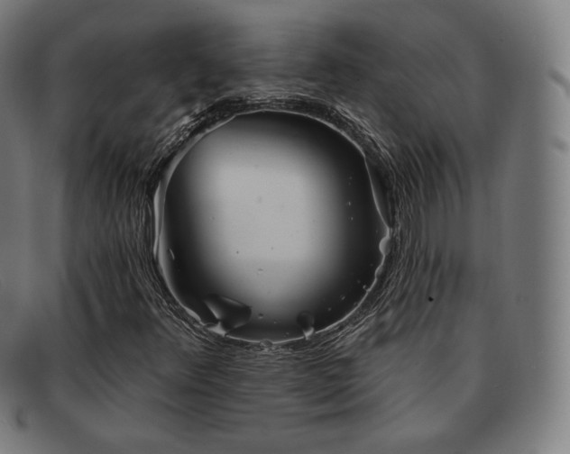 X0000091891348200709121432