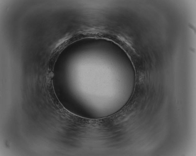 X0000091891350200709121432