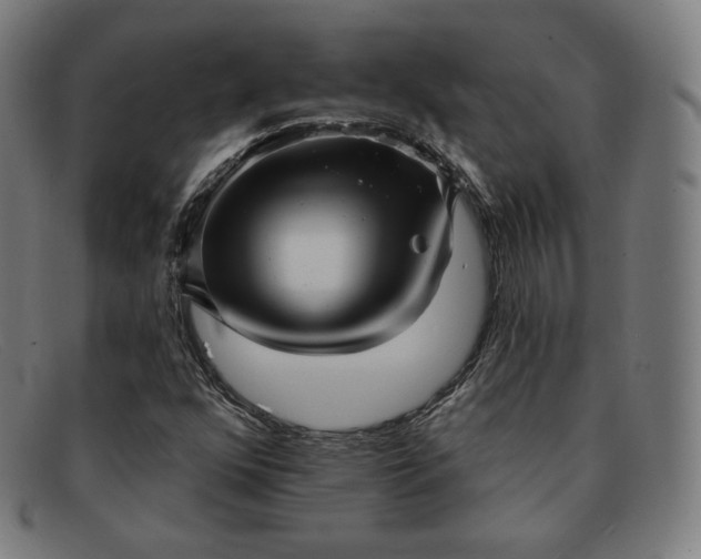 X0000091891352200709121431