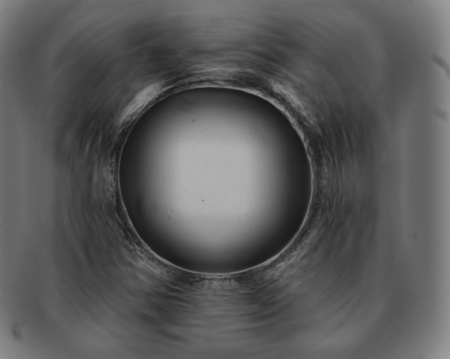 X0000091891354200709121431