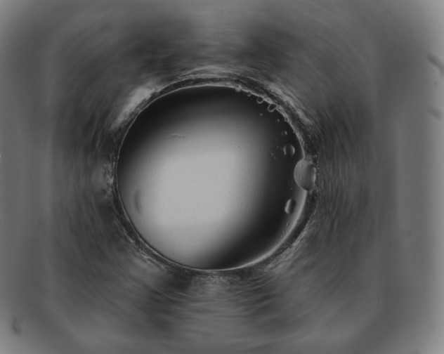 X0000091891355200709121431
