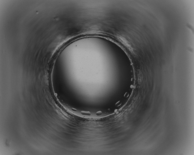 X0000091891356200709121431
