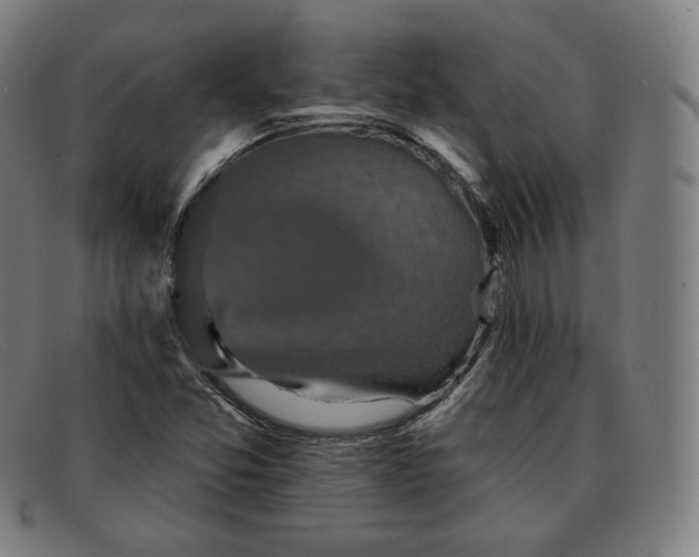 X0000091891357200709121431