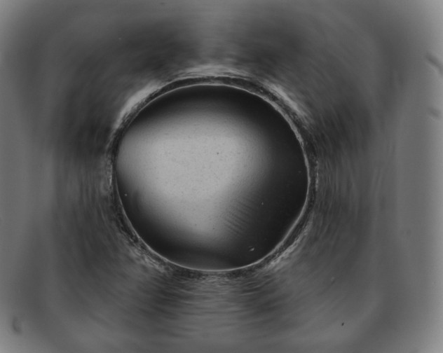 X0000091891358200709121431