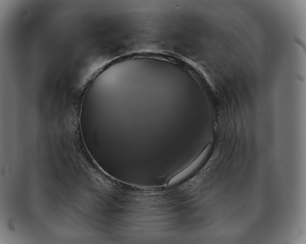 X0000091891359200709121431