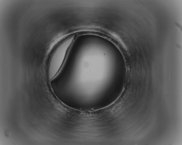 X0000091891360200709121431