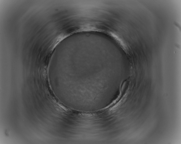 X0000091891361200709121431
