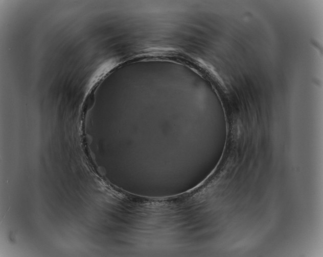 X0000091891362200709121431