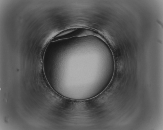 X0000091891363200709121431