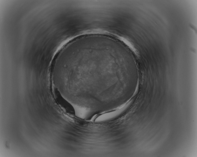 X0000091891364200709121431