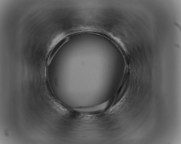 X0000091891365200709121431