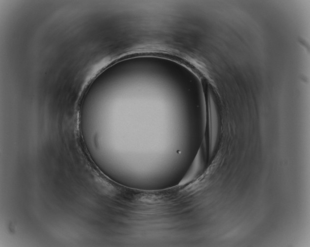 X0000091891366200709121431