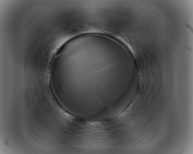 X0000091891367200709121431