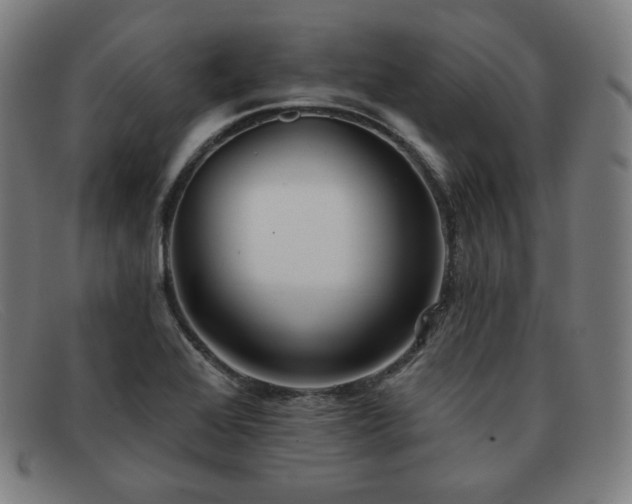 X0000091891368200709121431
