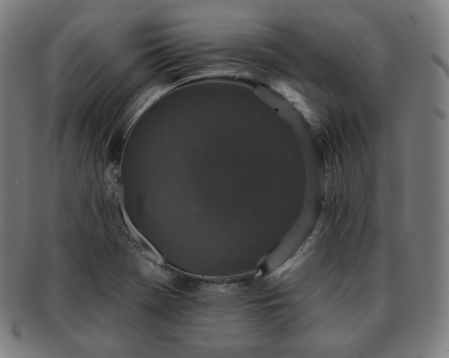 X0000091891369200709121431